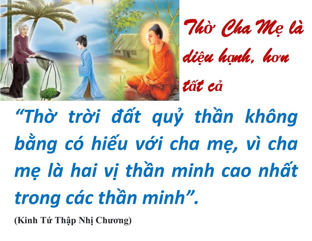 hieu duong cha me_vu lan bao hieu13.jpg